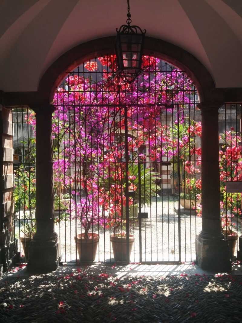 I giardini di Catania