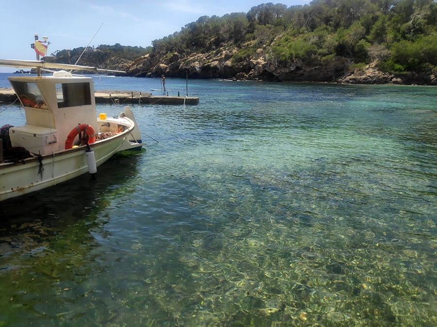 restaurante bigotes ibiza