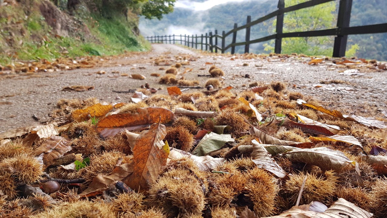 Assapora l'autunno in Cantabria