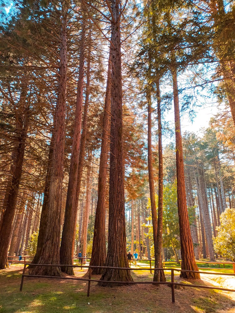 monte limbara sardegna