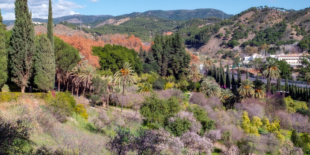 vista panoramica jardin botanico malaga
