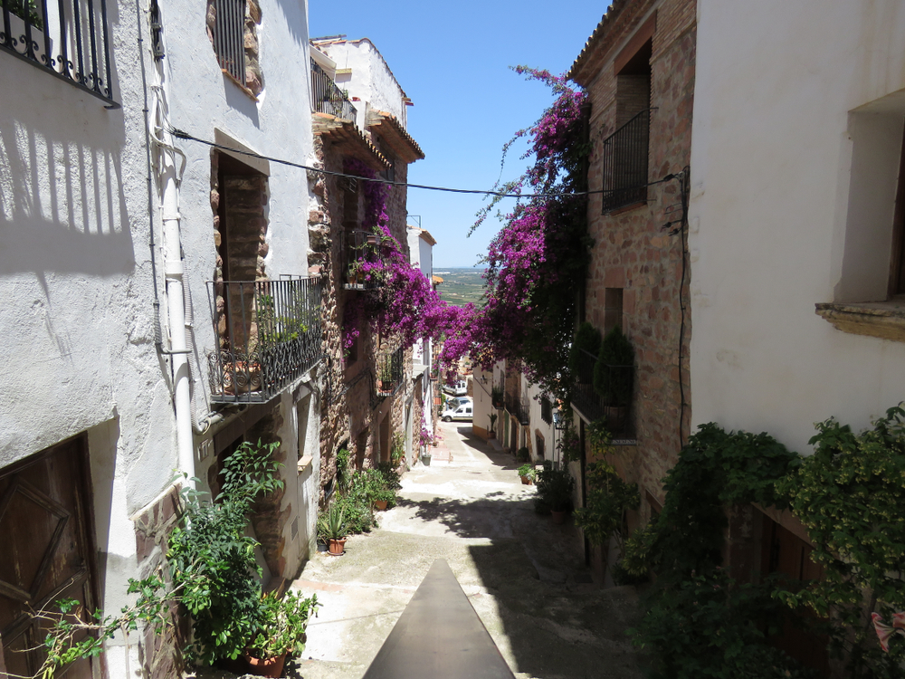 Villafames calle casas blancas bouganville