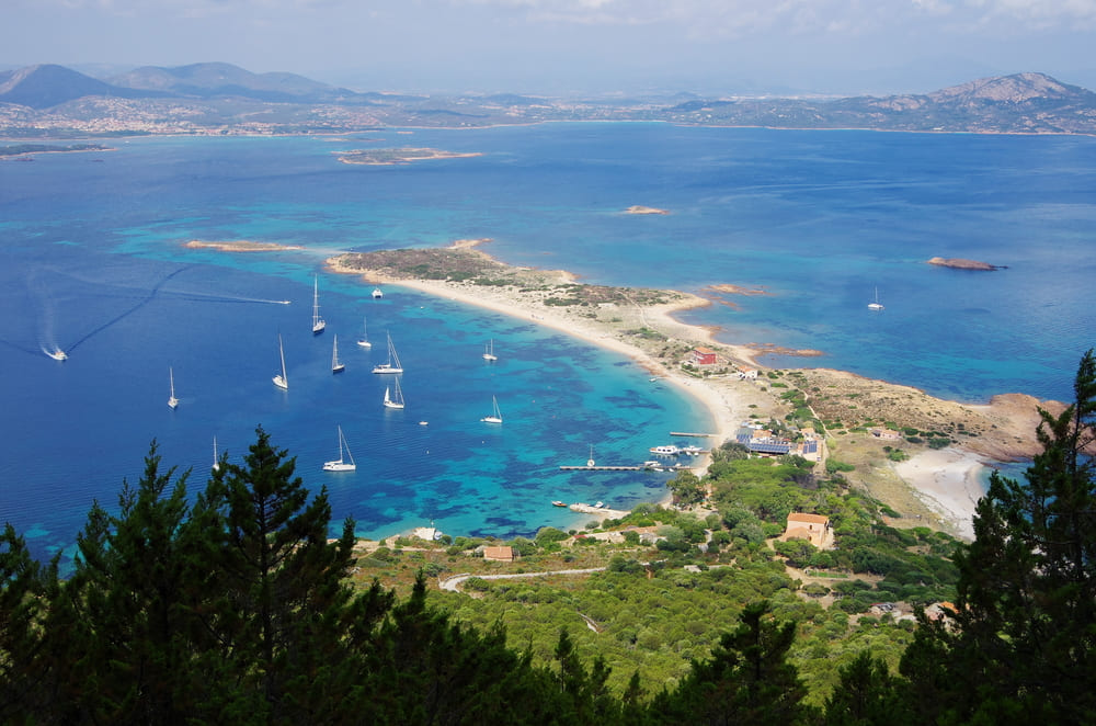 spiaggia spalmatore di terra tavolara visione aerea
