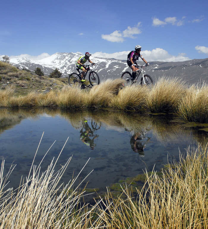 bicicletas sierra nevada