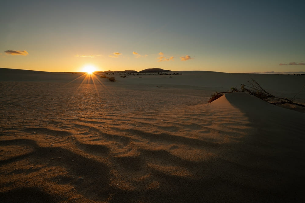 corralejo dunas atardecer